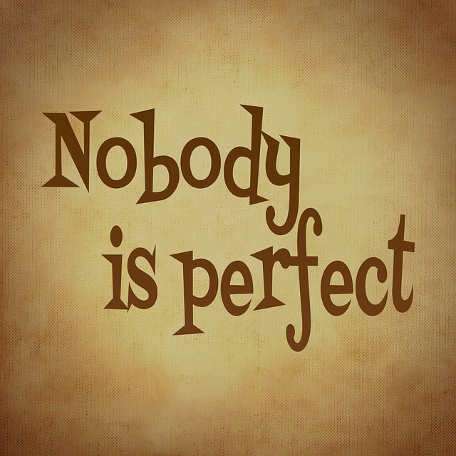 nobody-is-perfect-688369_640_mini